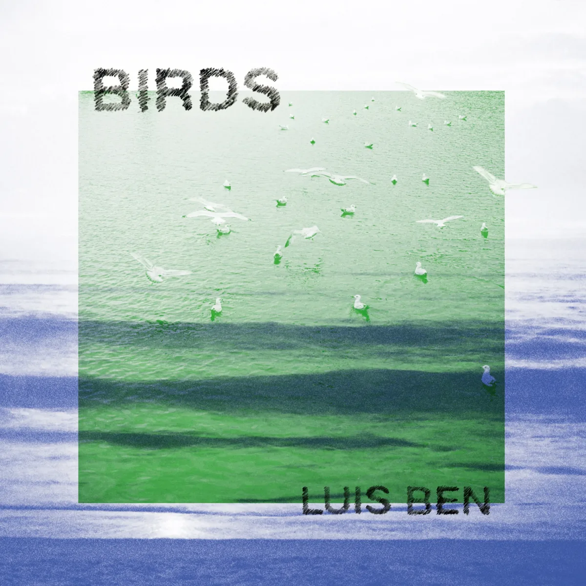 The cover of Birds: gulls over green water inside a pale blue border, with the title and the name Luis Ben written in pencil.